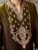 Green Brown Crush Tissue Kurta Set | Tulip Designer