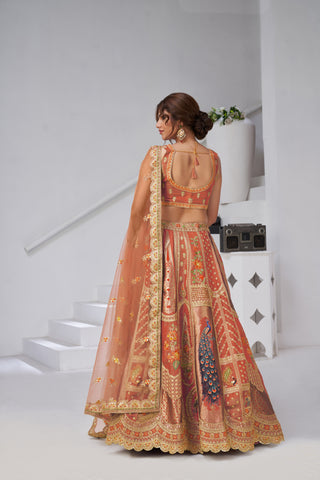 Rust Royal Radiance Raw Silk Bridal Lehenga Choli Set