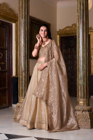 Gold Crush Elegant Lehenga Choli Set With Dupatta