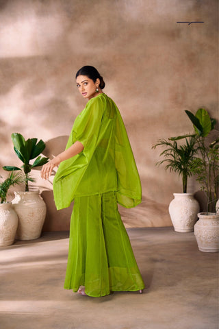 Parrot Green Hand Embellished Organza Designer Co Ord Set