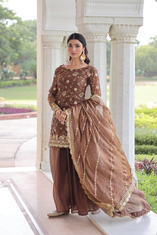 Premium Fendy Sharara Set with Rich Sequins Zari Embroidery
