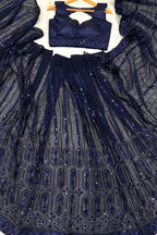 Blue Color Bollywood Georgette Saree