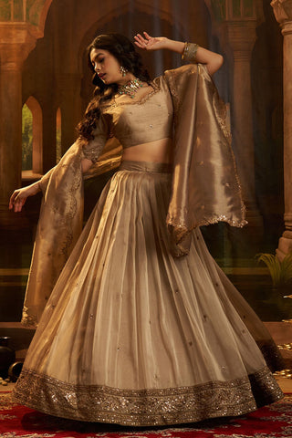 Luxury Brown Hiranya Silk Lehenga Set Featuring Art Silk Blouse And Detailed Embroidered Dupatta