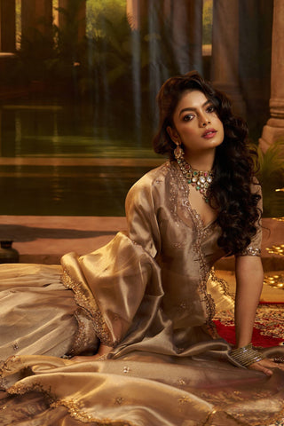 Luxury Brown Hiranya Silk Lehenga Set Featuring Art Silk Blouse And Detailed Embroidered Dupatta