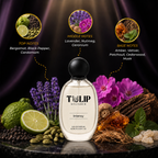 Intensy Modern Sophisticated Perfume | Tulip Designer