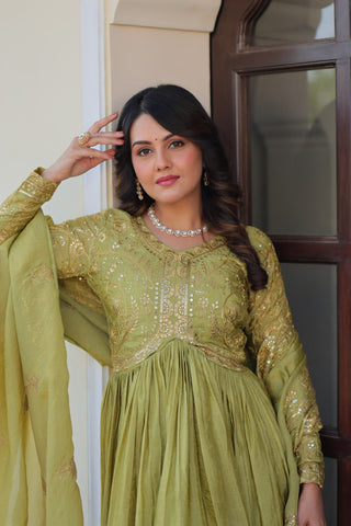 Stunning Gold Crush with Multi Thread Embroidery Sequins Work Gown Set