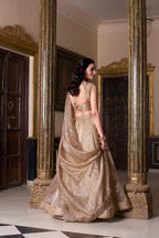 Gold Crush Elegant Lehenga Choli Set With Dupatta

