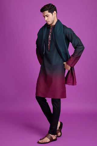 Classic Men's Printed Kurta Collection at Tulip Store