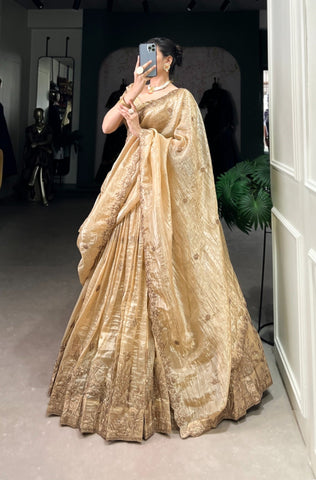 Traditional Indian Ensemble Beautiful Lehenga Choli