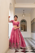 Traditional Indian Ensemble Beautiful Lehenga Choli