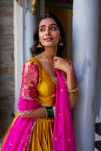 Festive Wear Narayan Pattu Designer Lehenga Set for Women

