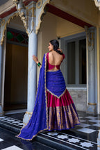 Festive Wear Narayan Pattu Designer Lehenga Set for Women
