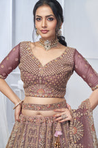 Royal Onion Soft Net Lehenga with Peacock & Paisley Embroidery
