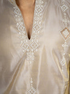 Light Beige Tissue Cutdana Kurta Set | Tulip Designer