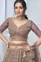Royal Purple Soft Net Lehenga with Peacock & Paisley Embroidery