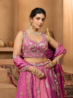 Grand Rani Pink Premium Embroidered Wedding Wear Lehenga Choli
