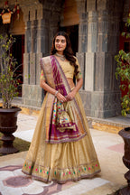 Designer Shimmer Organza Lehenga Set With Intricate Zari Weaving