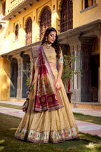 Elegant Simmer Organza Zari Work Lehenga Set With Batwa For Women

