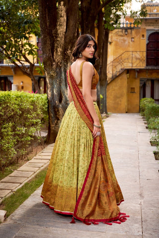 Heritage Inspired Vichitra Silk Printed Luxury Lehenga Set With Elegant Flare