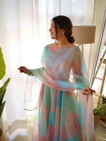 Party Wear Look Organza Silk Gown With Dupatta