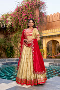 Designer Yellow Slub Kota Paithani Border Lehenga Set with NC Moss Dupatta
