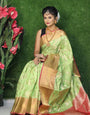 Serendipity Pista Kanjivaram Silk Saree With Surpassing Blouse Piece