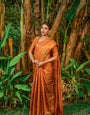 Sensational Orange Banarasi Silk Saree With Classic Blouse Piece